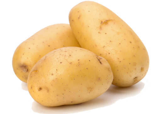 patata gialla